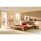 Ms-schuon-bett-nussbaum