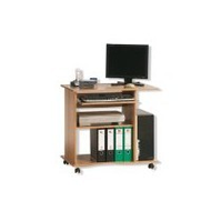 Computertisch-terra