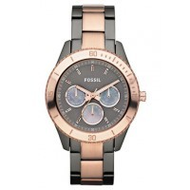 Fossil-es3030