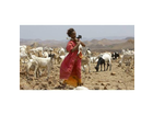 Waris-in-somalia