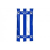 Badetuch-hertha-bsc