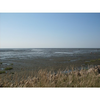 Strand-friedrichskoog-spitze