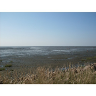 Strand-friedrichskoog-spitze