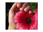 Loreal-nagellack-resist-and-shine