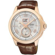 Citizen-watch-bt0008-05a-eco-drive