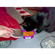 Whiskas-knuspertaschen-mit-lachs