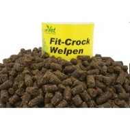 Cdvet-fit-crock-welpen-lamm-schaf