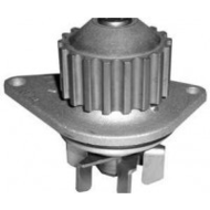 Peugeot-1007-wasserpumpe