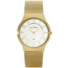 Skagen-233sgg1