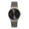 Skagen-slimline-titan-233xlttm