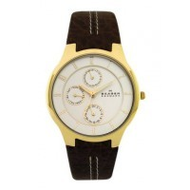 Skagen-herrenuhren-433xlgl1