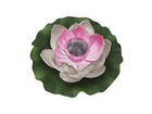 Led-solar-seerose
