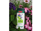 Alverde-sensitiv-shampoo-birke-salbei