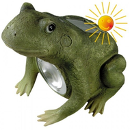 Solar-frosch