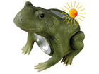 Solar-frosch
