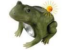 Solar-frosch