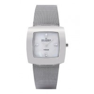 Skagen-570stw-titan
