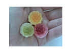 Haribo-bussis