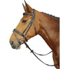 Harrys-horse-trense-silver-line