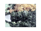 Greenland-rahm-spinat-mmmmh-das-schmeckt