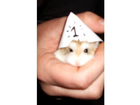 Die-minis-von-dein-bestes