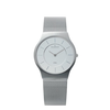 Skagen-herrenuhr-233lss
