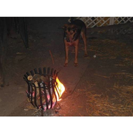Da-staunt-sogar-der-hund