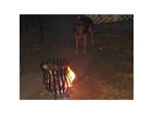 Da-staunt-sogar-der-hund
