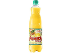 Punica-waikiki-orange