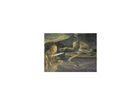 Bilbo-und-gollum-raetsel-im-dunkeln