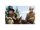 Brokeback-mountain-dvd