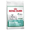 Royal-canin-mini-starter