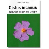 Cistus-incanus