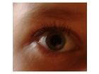 Getuschtes-auge-offen