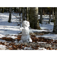 Fruehling-2008-ein-kleiner-schneemann-mitten-im-wald