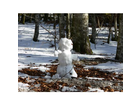 Fruehling-2008-ein-kleiner-schneemann-mitten-im-wald