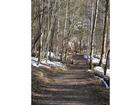 Fruehling-2008-der-weg-rund-um-den-see