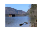 Almsee-fruehling-2008-das-seeufer-mit-fischerhuette