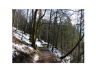 Fruehling-2008-der-weg-rund-um-den-see