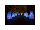 Festival-of-lights-entwickelt-aus-raw-iso-800