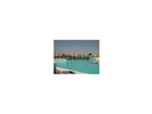 Einer-der-vielen-pools