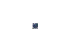 Ceanothus-trewithen-blue