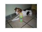 Bobby-und-sein-shampoo