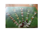 Dies-ist-das-spielfeld-des-spiels