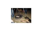 Auch-tief-in-der-nacht-grillt-er-noch-schade-fuer-den-hund-noch-gibt-es-nichts
