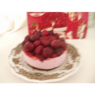 Kirsch-joghurttoertchen-3