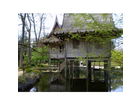 Ein-haus-im-asiatischen-garten