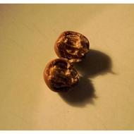 Die-kleinsten-kugeln-sorte-caramel