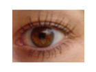Mein-getuschtes-leicht-verklebtes-auge