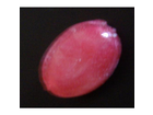 Bonbon